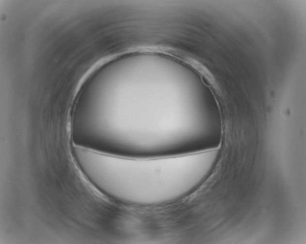 X0000084521428200702231123