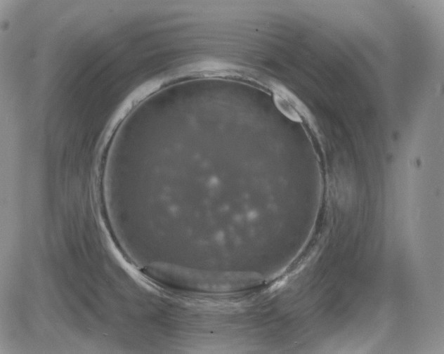 X0000084521429200702231123