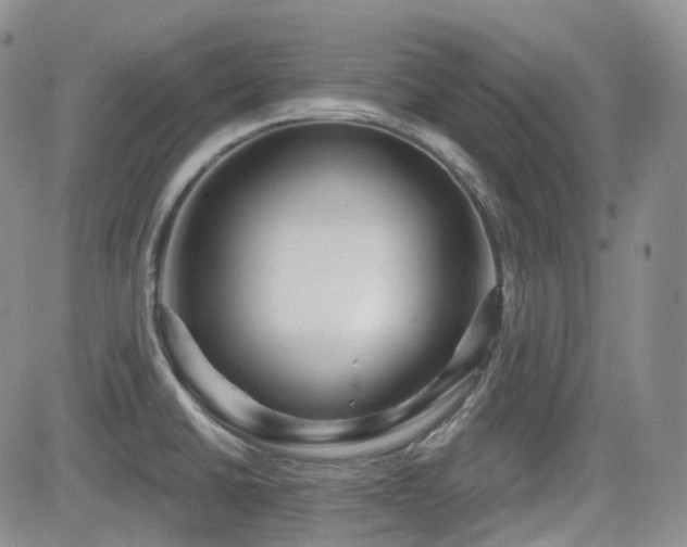 X0000084521430200702231123