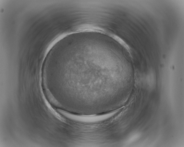 X0000084521431200702231123