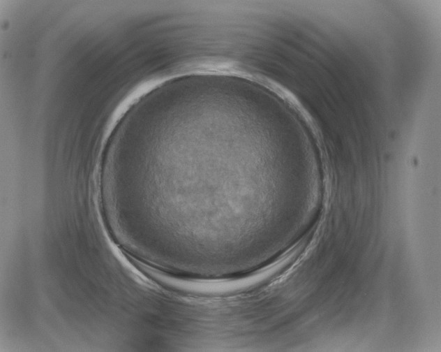 X0000084521432200702231123