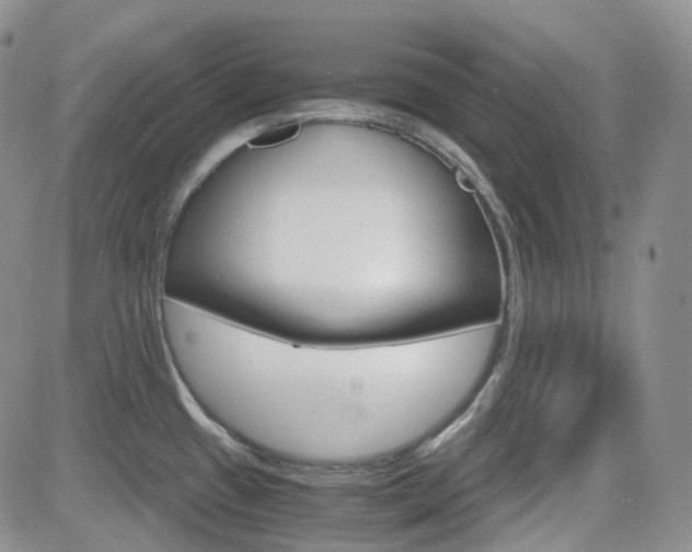 X0000084521433200702231123