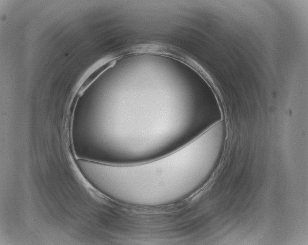 X0000084521434200702231123