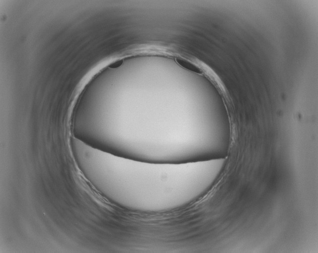 X0000084521435200702231123