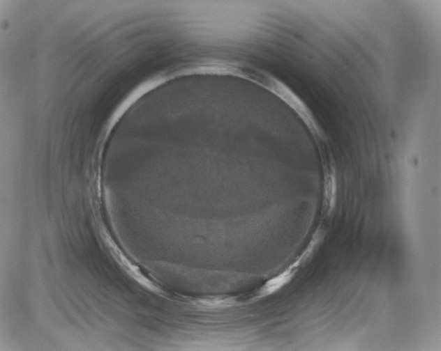 X0000084521436200702231123