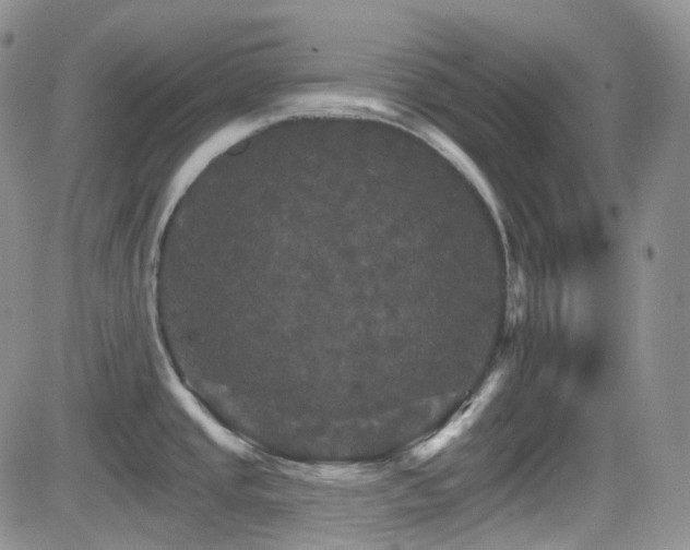 X0000084521437200702231123