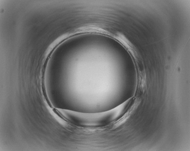 X0000084521438200702231123