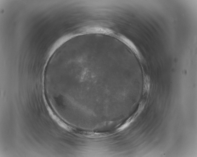 X0000084521439200702231123