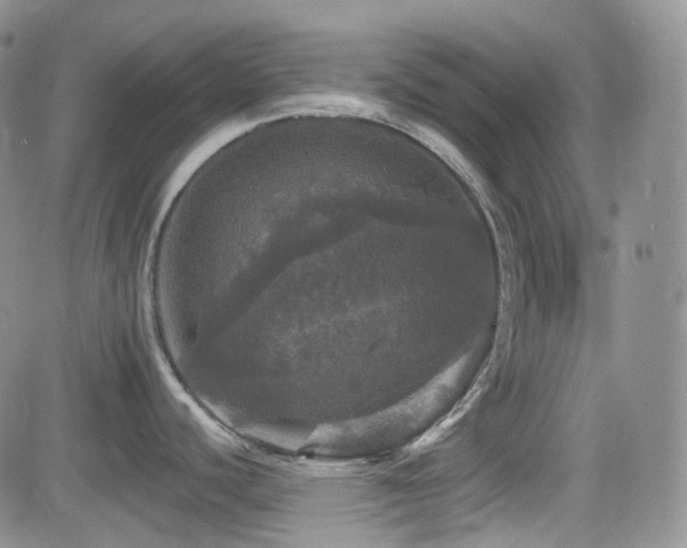 X0000084521440200702231123