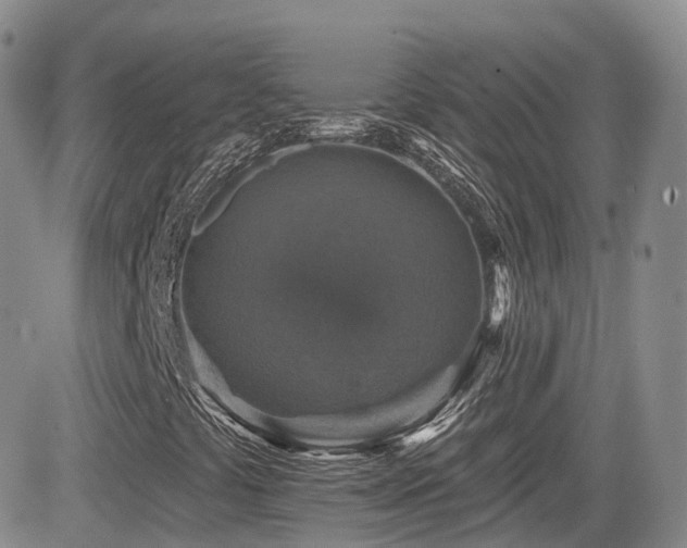 X0000084521441200702231122