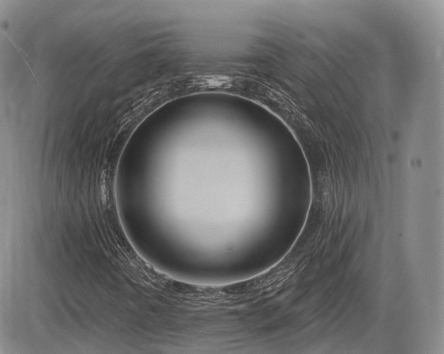 X0000084521442200702231122