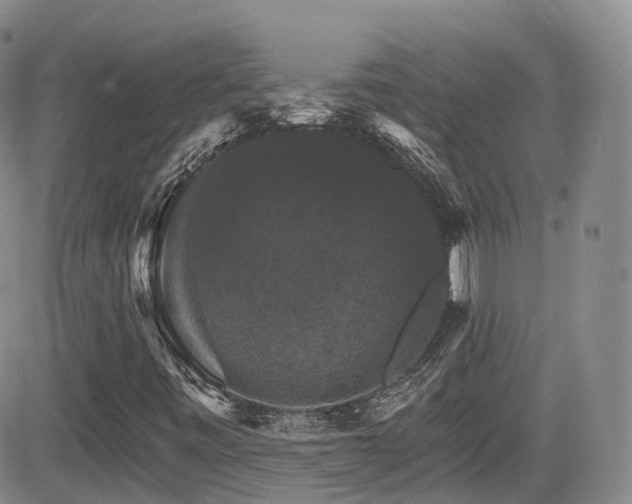 X0000084521443200702231122