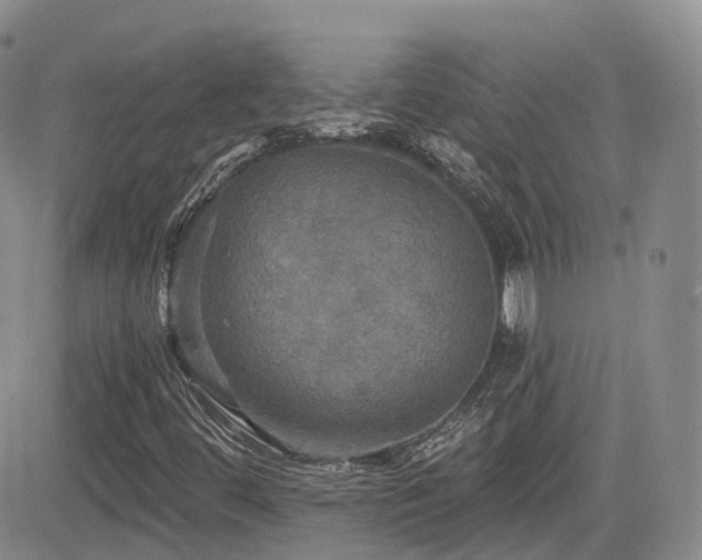 X0000084521444200702231122