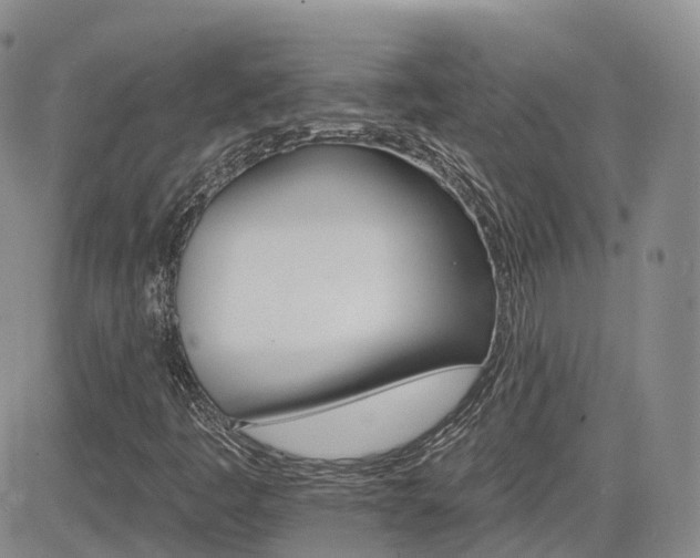 X0000084521445200702231122