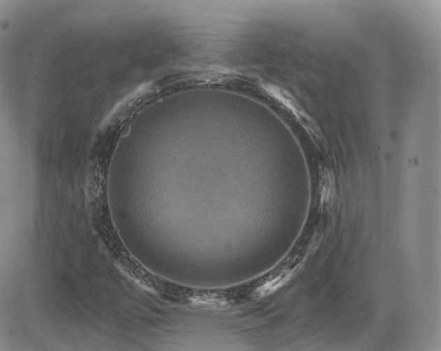 X0000084521447200702231122