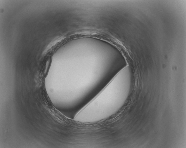 X0000084521448200702231122