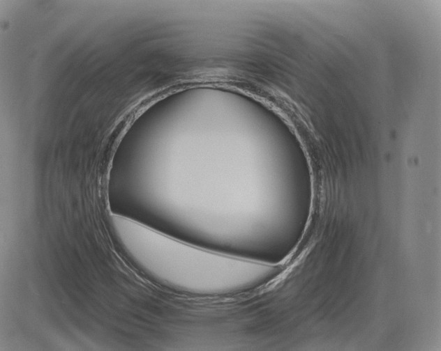 X0000084521449200702231122