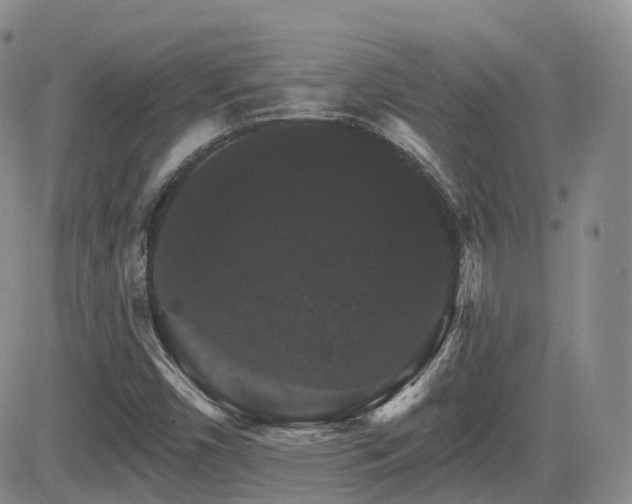 X0000084521450200702231122