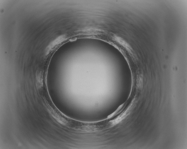 X0000084521451200702231122