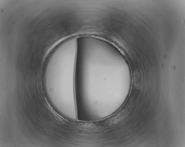 X0000084521452200702231122