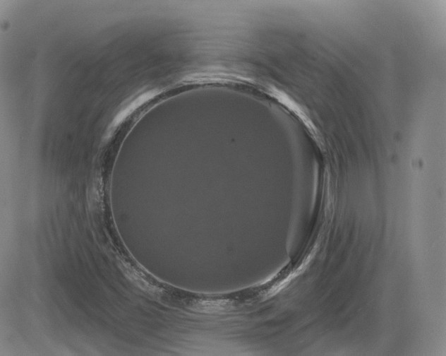 X0000084521453200702231122