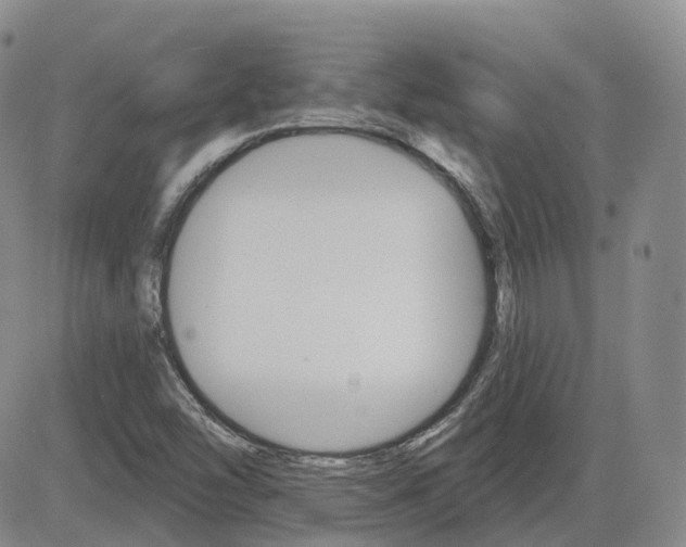 X0000084521454200702231122