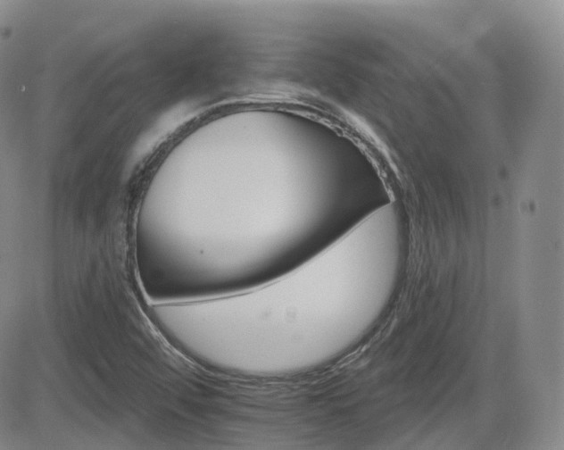 X0000084521456200702231122