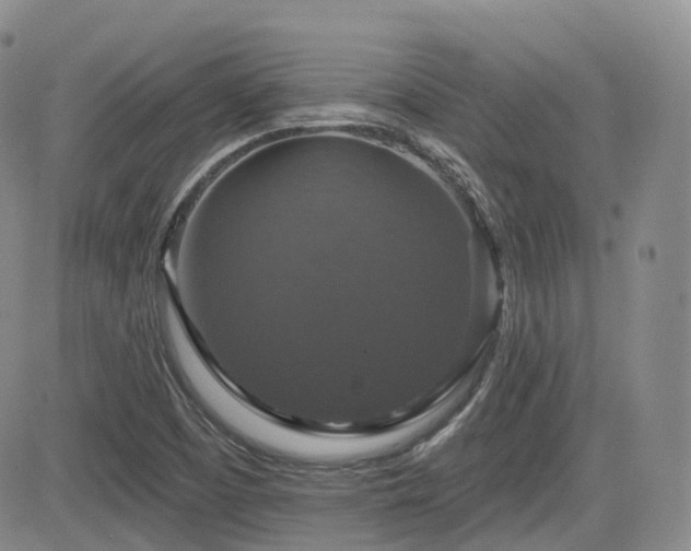 X0000084521457200702231122