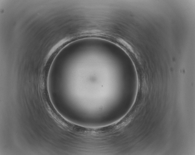 X0000084521458200702231122