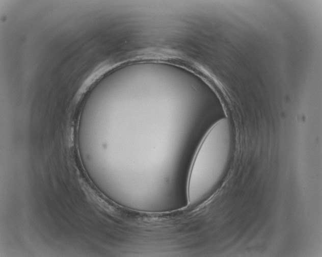 X0000084521459200702231122