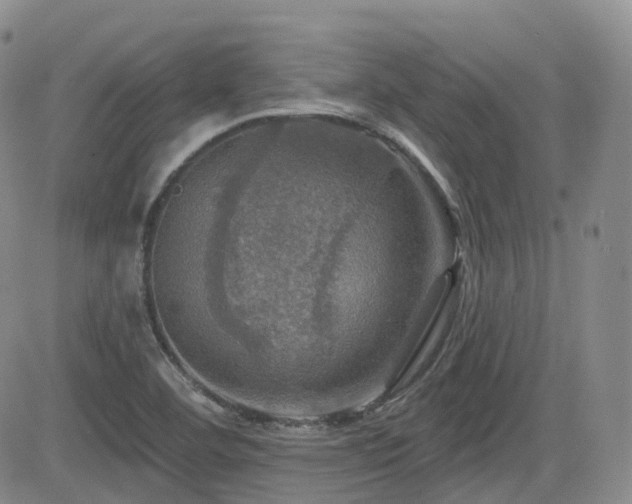 X0000084521460200702231122