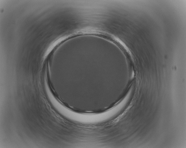 X0000084521461200702231122