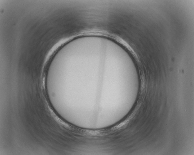 X0000084521462200702231122