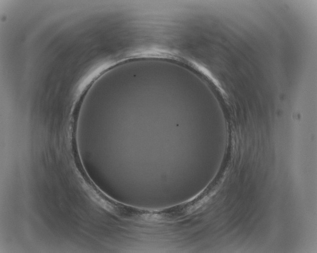 X0000084521463200702231122