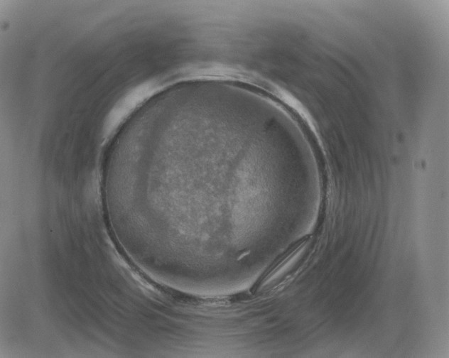 X0000084521464200702231122