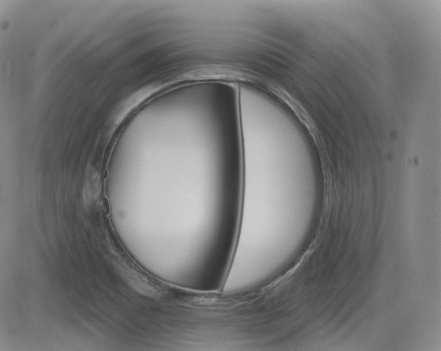 X0000084521465200702231122