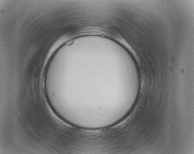 X0000084521466200702231122