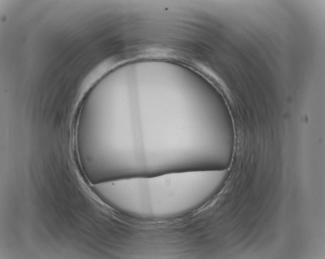 X0000084521467200702231122