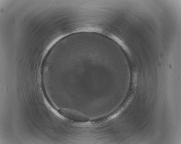 X0000084521468200702231122