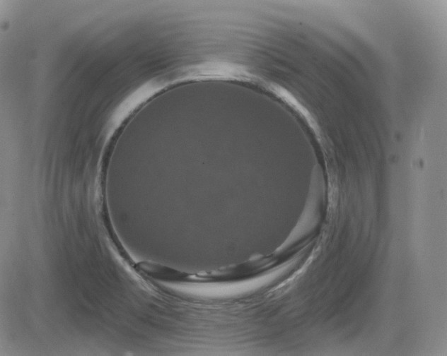 X0000084521469200702231122