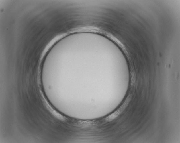 X0000084521470200702231122