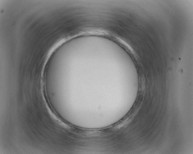 X0000084521471200702231122