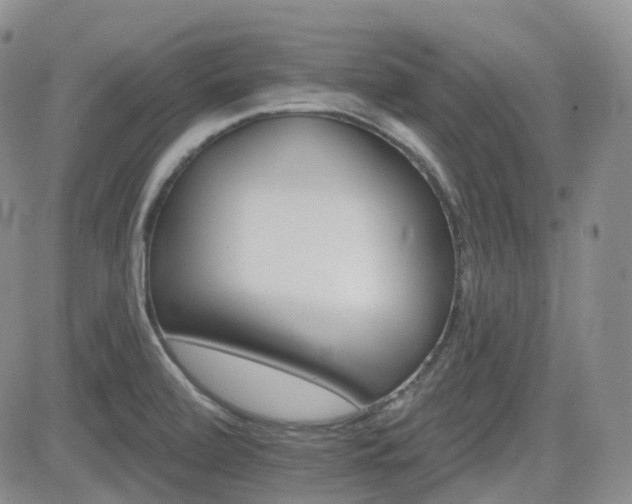 X0000084521472200702231122