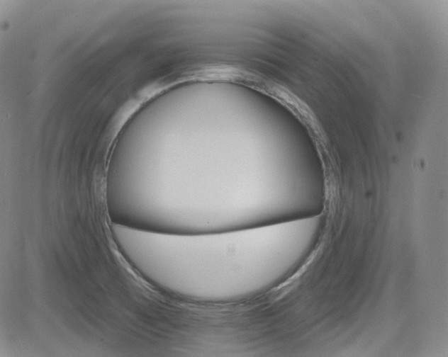 X0000084521473200702231122