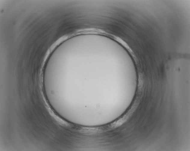 X0000084521474200702231122