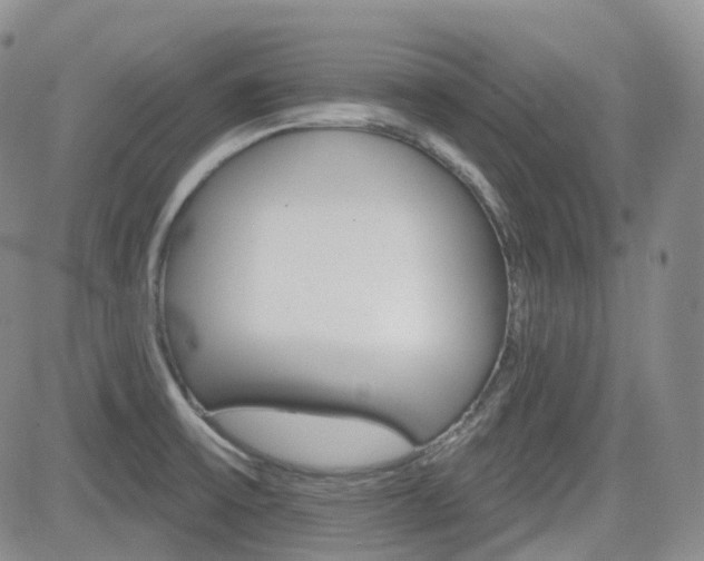 X0000084521475200702231122