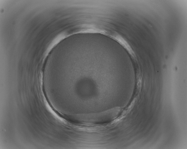 X0000084521476200702231122