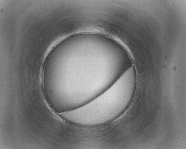 X0000084521477200702231122