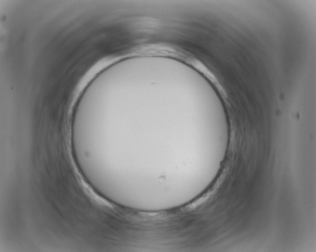 X0000084521478200702231122