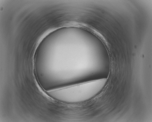 X0000084521479200702231122